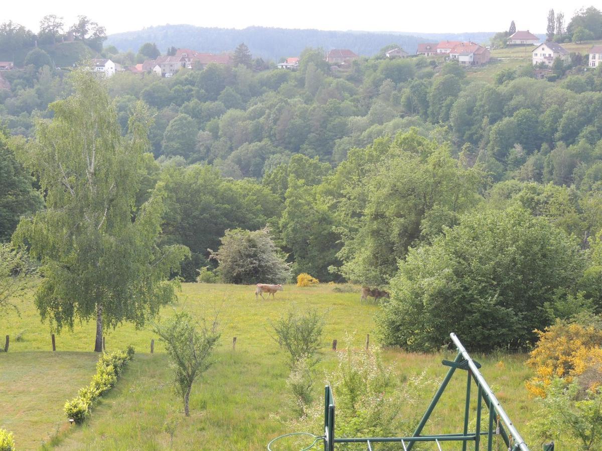 Au Chalet Bain Nordique Neuf Independant Calme Assure Haselbourg ภายนอก รูปภาพ