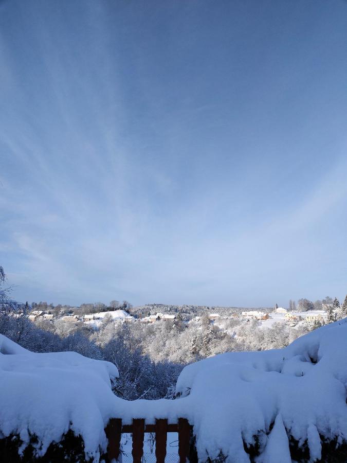 Au Chalet Bain Nordique Neuf Independant Calme Assure Haselbourg ภายนอก รูปภาพ
